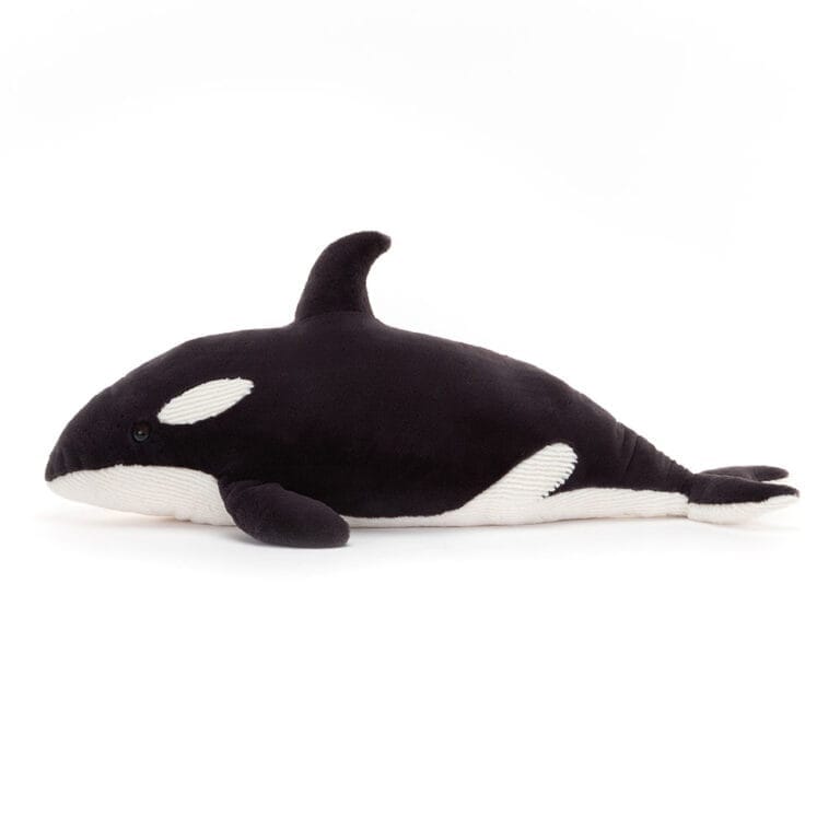 Ollivander the Orca - Hình ảnh 2