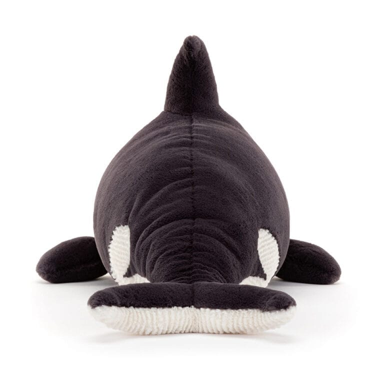Ollivander the Orca - Hình ảnh 3